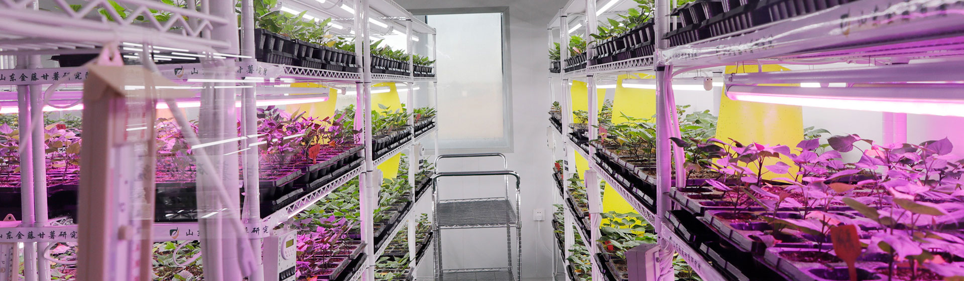 實(shí)驗(yàn)室